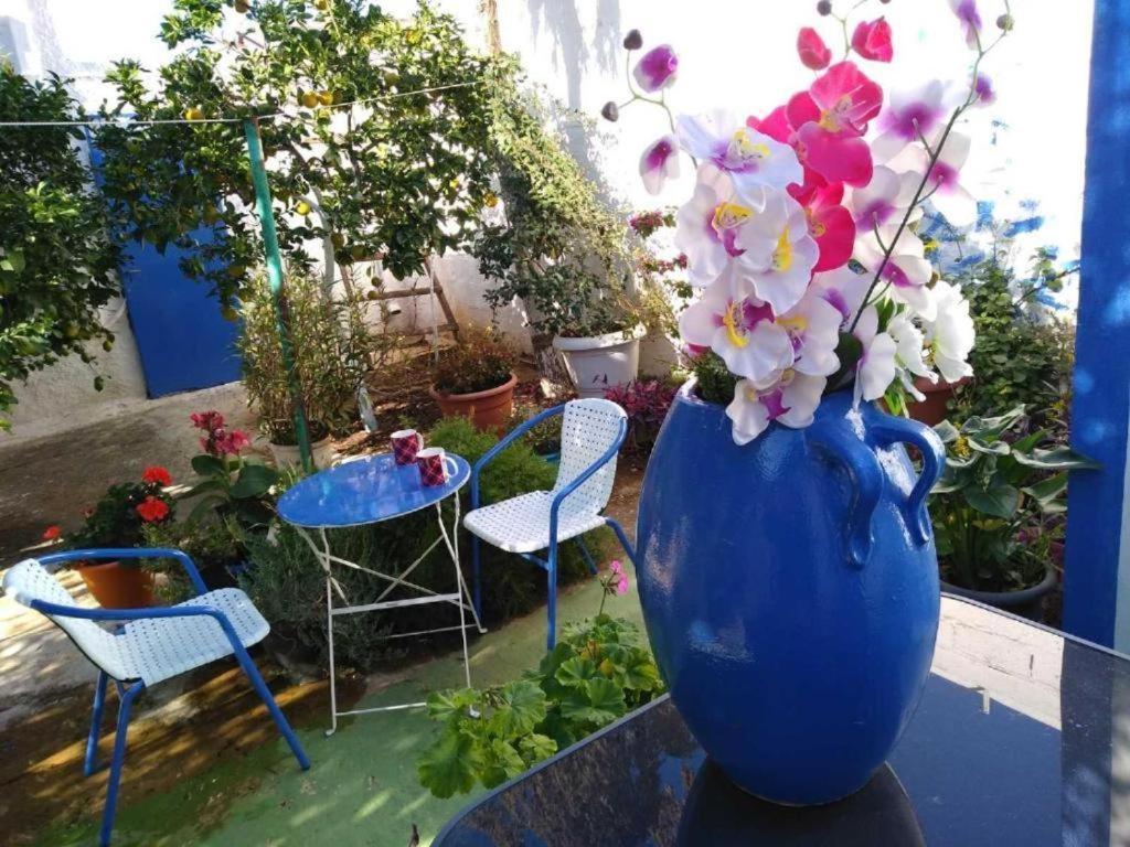 4 Seasons Suites Paradise Near Athens Airport Markopoulo Mesogaias Bagian luar foto