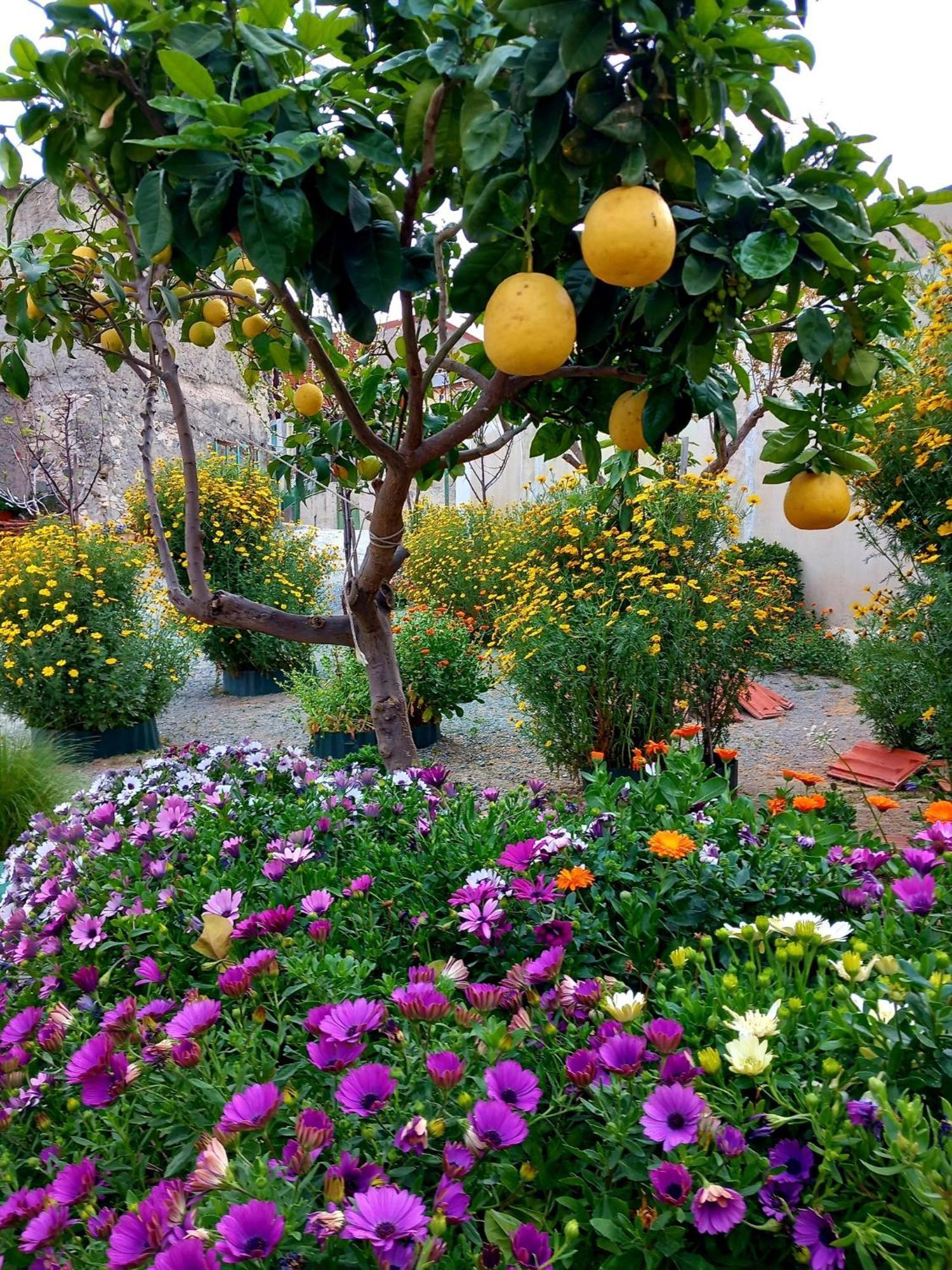 4 Seasons Suites Paradise Near Athens Airport Markopoulo Mesogaias Bagian luar foto
